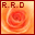 ROSE RANKING-D